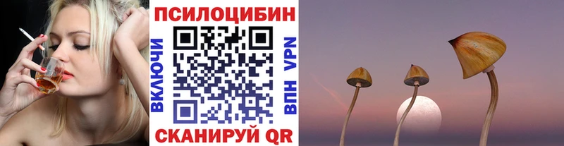 Галлюциногенные грибы Cubensis  Дудинка 