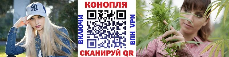 Бошки Шишки Bruce Banner  Дудинка 